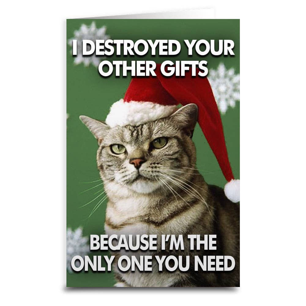 Cat Destroyed the Gifts Christmas Card